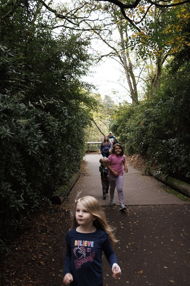 Woodland Park Zoo — photo 63